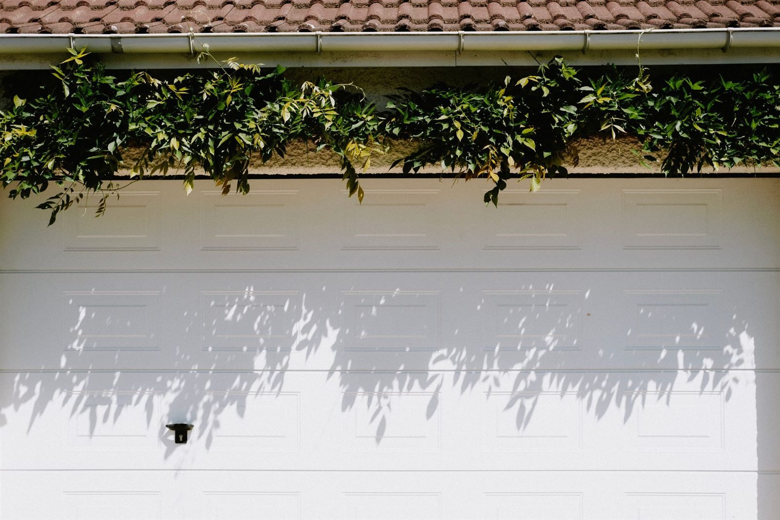 A white sectional garage door on a house exterior with foliage above it