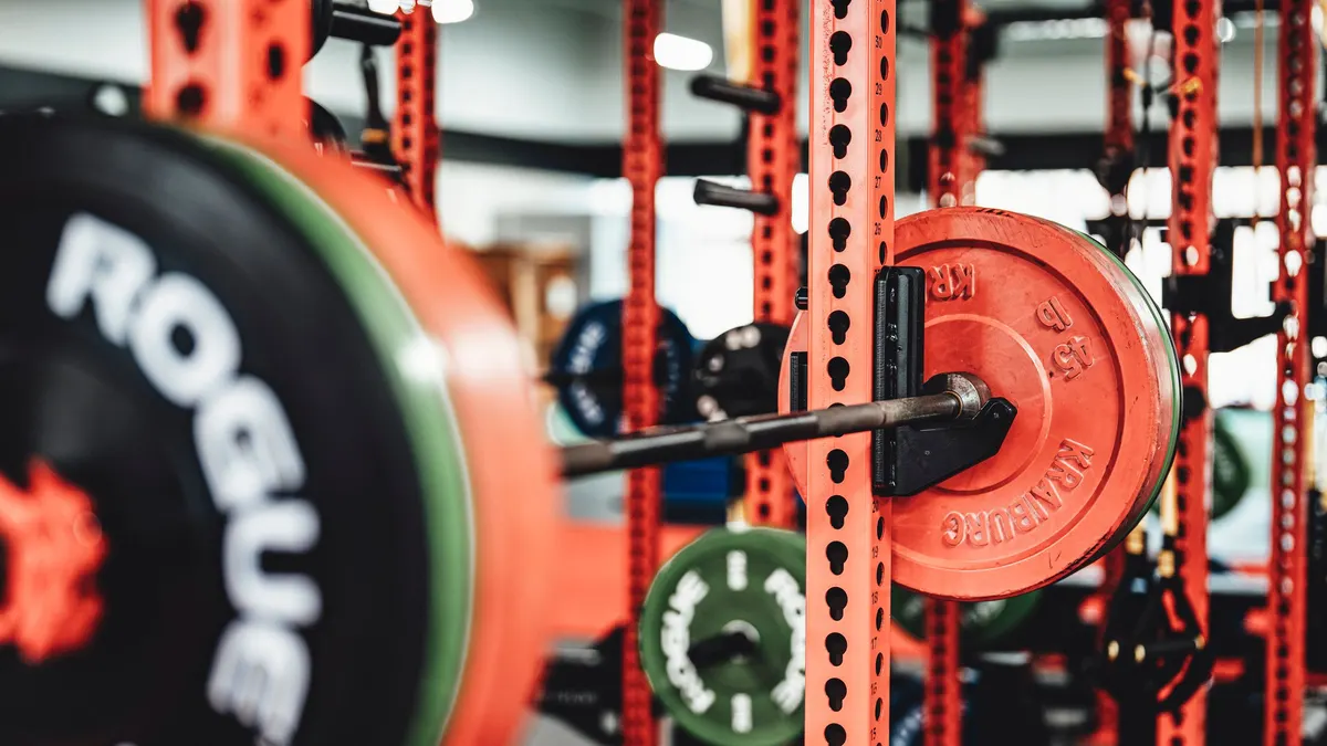 Weight plates loaded on a red power rack
