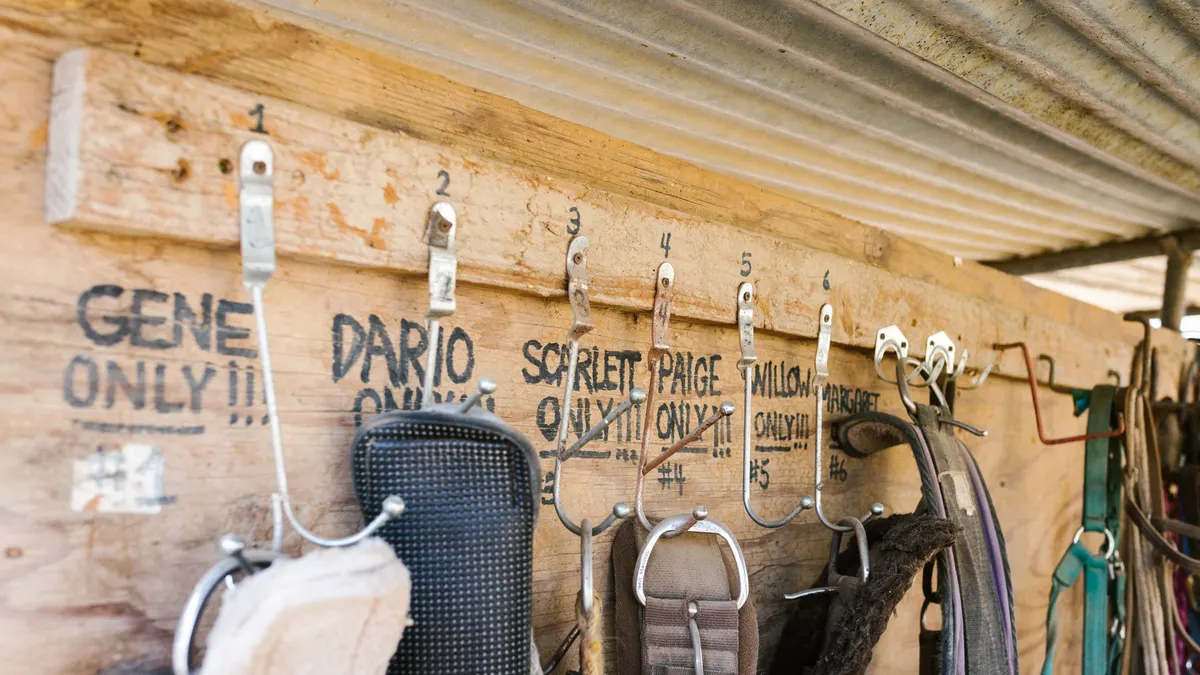 Bags and gear hanging on hooks along a wooden wall